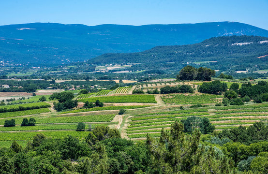 France, Vaucluse, Mt Ventoux that overlooks the winegrowing plains around Roussillon