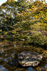 Obraz na płótnie Canvas Autumn color at a Japanese garden in Osaka, Japan