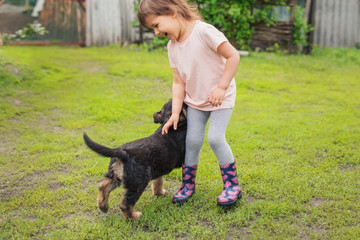 Happy girl playing with dog active game on lawn, village, day, open air