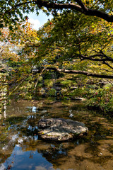 Obraz na płótnie Canvas Autumn color at a Japanese garden in Osaka, Japan