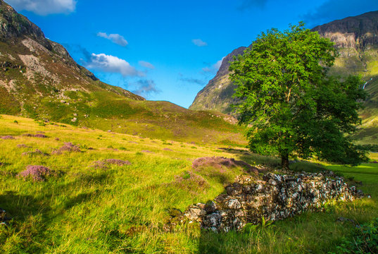 Europe, Great Britain, Scotland, Highlands and Lochaber Geopark, Glen Coe valley, place of Hagrid's hut replica (Harry Potter movie) and filming of the Skyfall movie (James Bond)