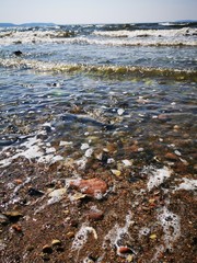 Obraz premium the beach with waves and sunshine