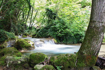 Small spring cascade between rocks and trees,  mountains of Eastern Serbia, near Despotovac city