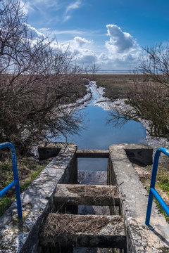 France, Arcachon Bay, Andernos-les-Bains, Saint-Brice-les Quinconces natural site, floodgate