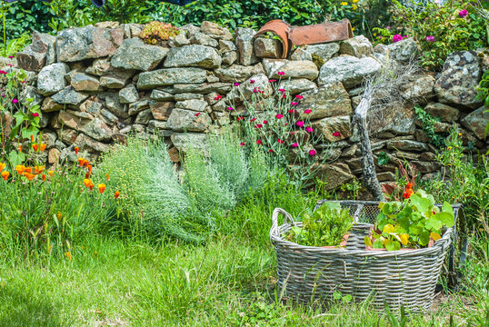 France, Brittany, Nevez, "Pays des pierres debout" (Land of the standing stones), flowery garden in the Kercanic village