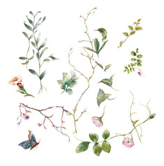 watercolor painting of leaves and flower, on white background