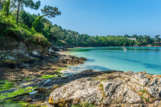 France, Brittany, Ria de Belon, Kerfany les Pins, Anse du Gorjen