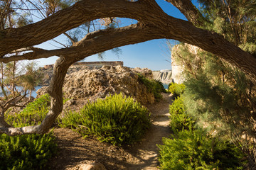 Fototapeta na wymiar Beautiful trekking path Ta' Lippija in Clay Cliffs, Malta
