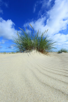 Dinkerk, beach