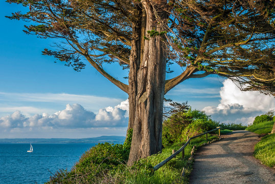 France, Brittany, Douamenez, view from the coastal path (GR 34) between Douamenez and la Pointe de la Jument (Ile Tristan)