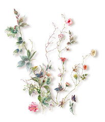 Fototapety  akwarela liści i kwiatów, na białym tle