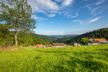 Fototapeta na wymiar Beskid Sądecki - Góry Karpaty