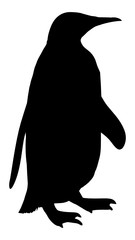 High quality vector illustration of a penguin silhouette isolated on white background. Full editable eps file available.