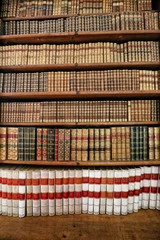 Detail of bookshelf with plenty of historic books