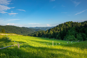 Beskid Sądecki - G&oacute;ry Karpaty