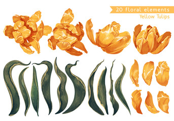 Set of floral elements with yellow tulips flowers and leaves for your design, posters, cards, prints for clothing, wallpaper, wrapping paper, wedding invitation, patterns, wallpapers, fabric.