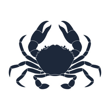 Crab graphic icon. Sea crab black sign isolated on white background. Vector illustration