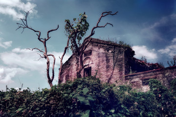 Mount Xiqiao, Foshan, Guangdong, China. The mountain is an important scenic area and designated as a national forest park and national geological park. Abandoned house, dead tree.               