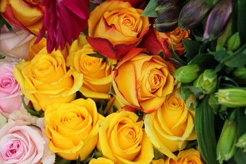 close up from a bouquet of beautiful colorful roses