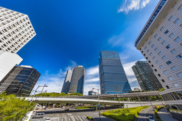 Obraz premium 新緑と都会のビル群