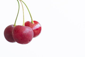 Cherry isolated on white background. 