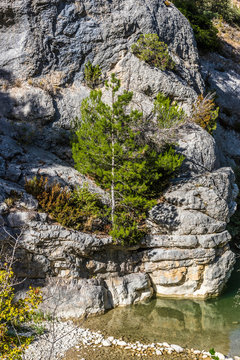 France, Drome, The Provencal Baronnies Regional Natural Park, Ubrieux gorge on the Ouveze river, "Lou Passo d'Hannibal" climbing site.