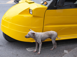 タイ王国　アユタヤ　トゥクトゥク（三輪タクシー）