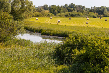 Hay harvest in UNESCO biosphere reserve river landscape Elbe, Boizenburg.
