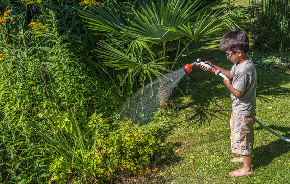 Five-year-old boy watering the plants with a hose