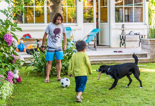 Two boys of 5 years old and 13 years old playing with a ball in the garden with their dog