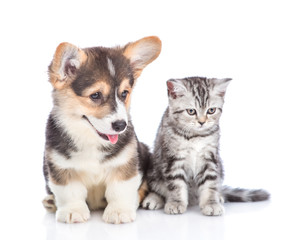 Funny corgi puppy and tabby kitten looking away together. isolated on white background