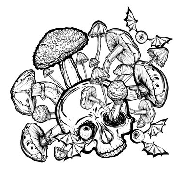 Halloween.Vector illustration.Skull,mushrooms.Handmade,prints on T-shirts, background white.tattoos