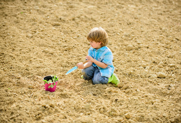 Naklejka na ściany i meble Planting in field. Little helper in garden. Boy planting flower in field digging ground. Work at farm. Mother nature concept. Planting seedlings. Child having fun with little shovel and plant in pot