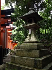 Fototapeta premium OLYMPUS DIGITAL CAMERA