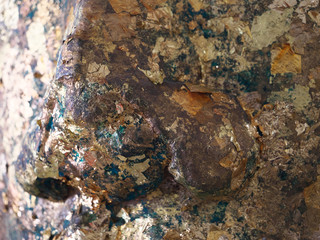 タイ王国 アユタヤ ヴィハーン プラ モンコン ボピット Viharn Phra Mongkol Bopit