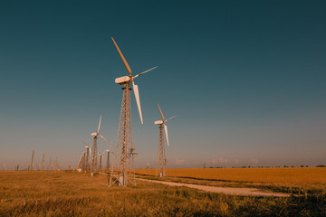 Wind power plant at sunset