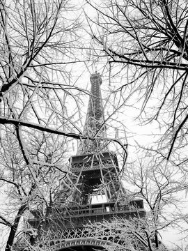Snow covered   trees and Eiffel tower, 16eme arrondissement, Paris, France