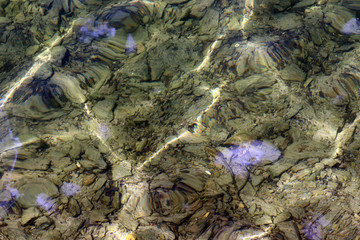 L'eau du lac transparente et propre