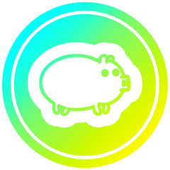 fat pig circular in cold gradient spectrum