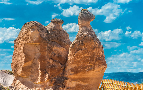 Turkey, Goreme national park and the rock sites of Cappadocia, the "camel" in the Devrent valley (UNESCO World Heritage)