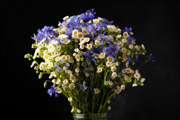 Beautiful bouquet of wild flowers: voloshki and chamomiles on a dark background