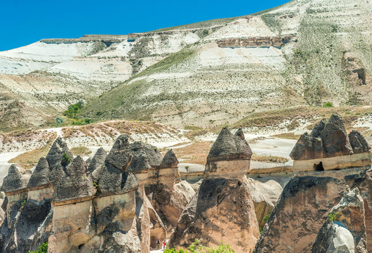 Turkey, Goreme National park and the rock sites of Cappadocia, hoodoos topped with their basalt dome in the Pasabag valley (UNESCO World Heritage)