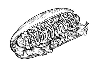 Illustration of a hot dog in high quality for printing