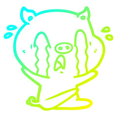 cold gradient line drawing crying pig cartoon