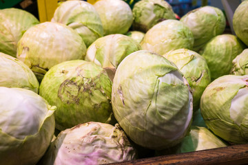 Fototapeta na wymiar fresh cabbage on the counter of the supermarket