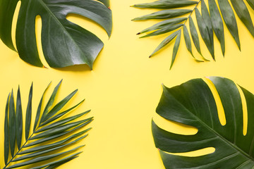 Fototapeta na wymiar Leaves of palm and monstera on yellow. Top view, flat lay.