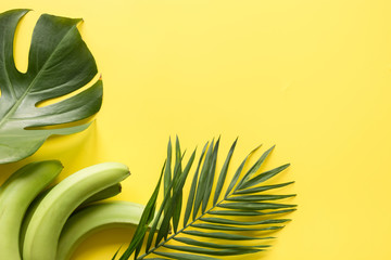 Fototapeta na wymiar Leaves of palm, monstera and fruits banana on yellow. Close up, isolated with copy space.