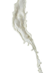 A Milk Splash On White Background, isolated
