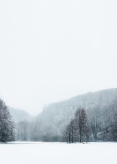 Fototapeta na wymiar winter mountain landscape with snowy trees and snow