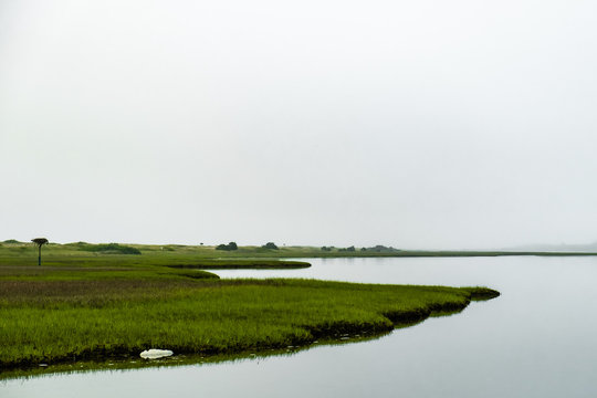 Foggy, quiet ocean bay, a perfect place for kayaking, fishing or meditation